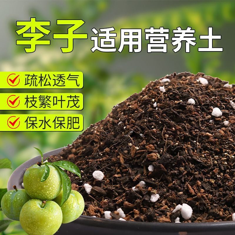 【李子专用土】疏松透气盆栽绿植专用园艺室内植物有机营养土肥料