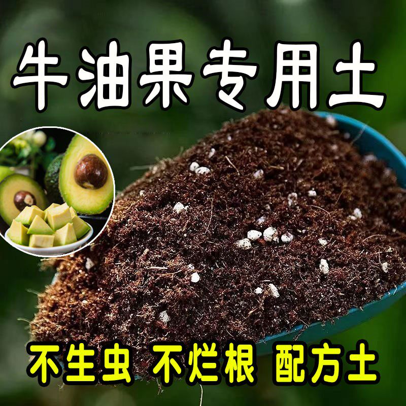 牛油果专用营养土 牛油果专用土 盆栽花土种花养花种植土壤通用型