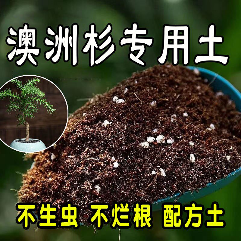 澳洲杉种花营养土养花绿植通用型肥料土壤家用花泥花土专用营养土