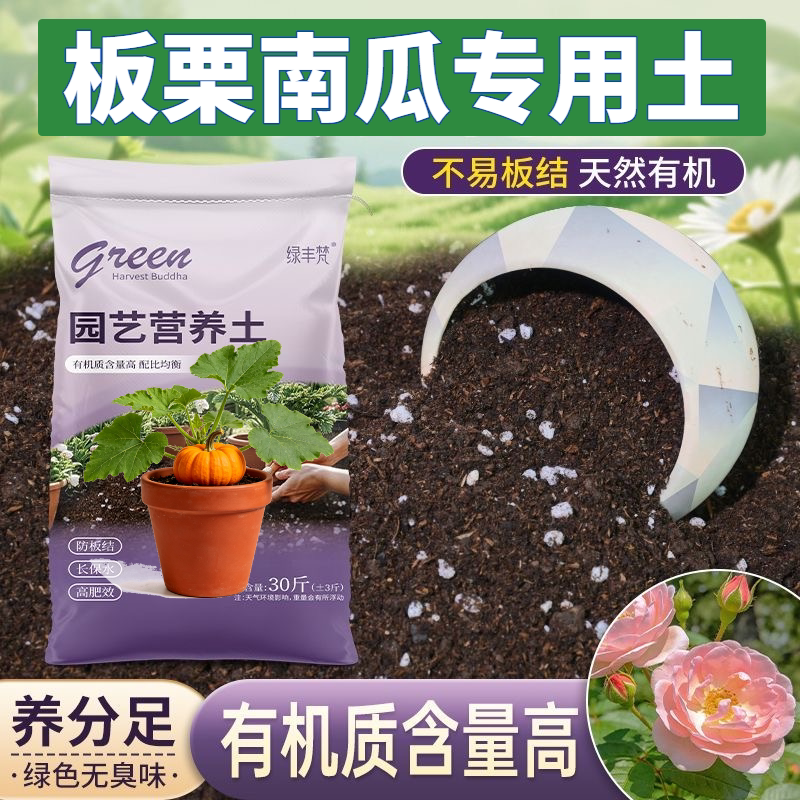 板栗南瓜专用进口泥炭土保水保肥菜园加有机肥进口绿叶多肉营养土