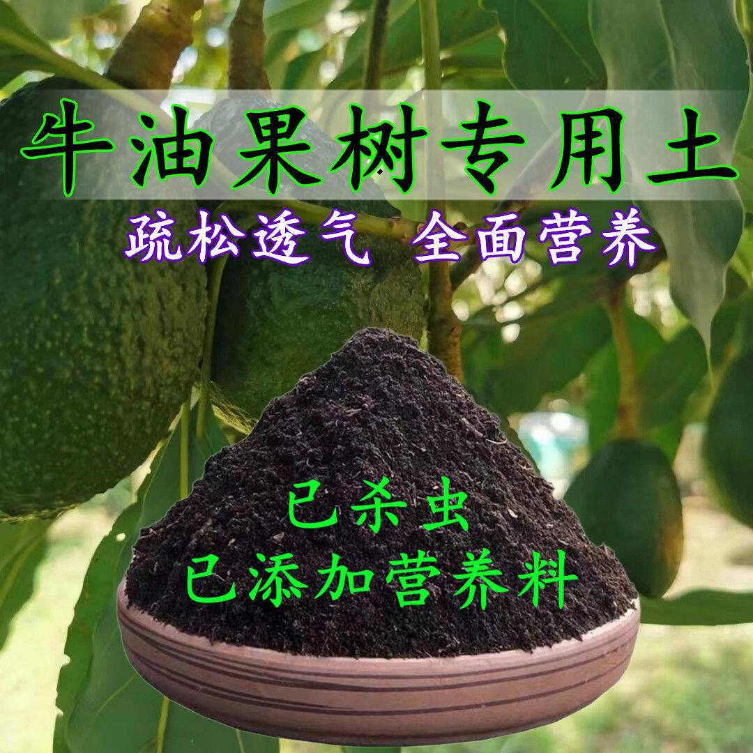 牛油果树专用土朱油果专用营养土盆栽土养花种土通用种植土壤肥料