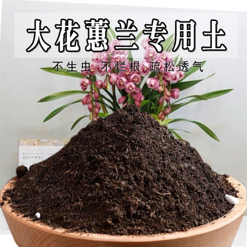 大花蕙兰专用营养土透气家用种蝴蝶兰大花蕙兰石斛专用养花营养土