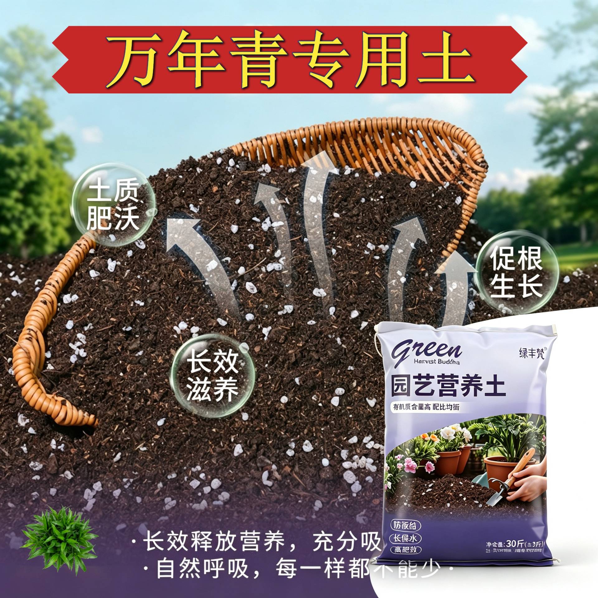 万年青专用进口泥炭土不闷根不烂根花园包邮精选防黄叶观叶优质