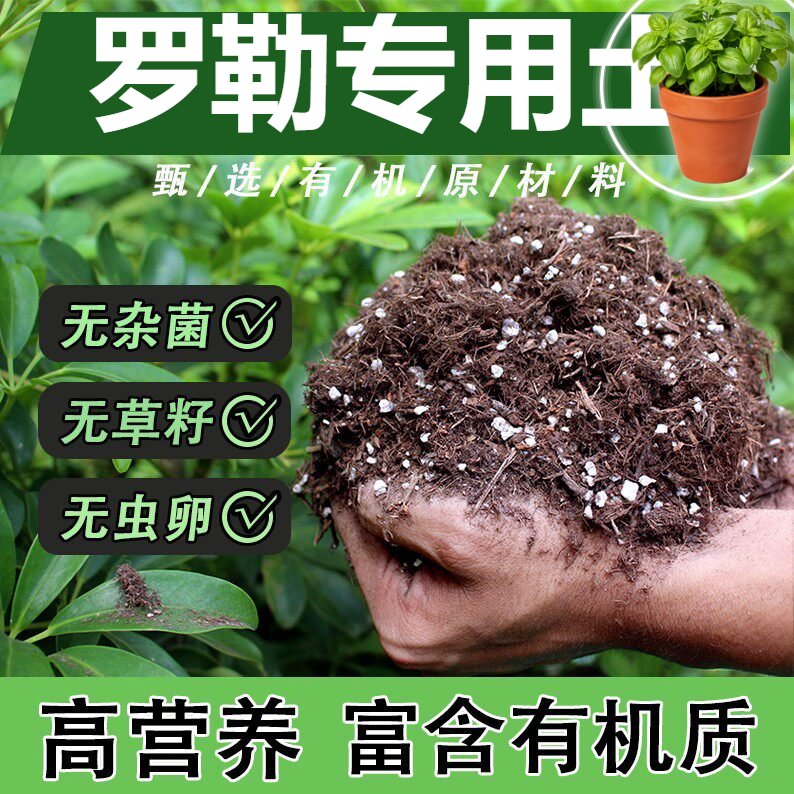 罗勒专用酸性土无生肥孔隙充足院子种菜通用款阳台绿植透水滤水