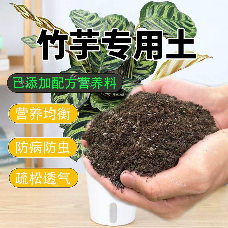 竹芋专用土种植土肥料种花盆栽土猫眼竹芋营养土家用养花有机土壤