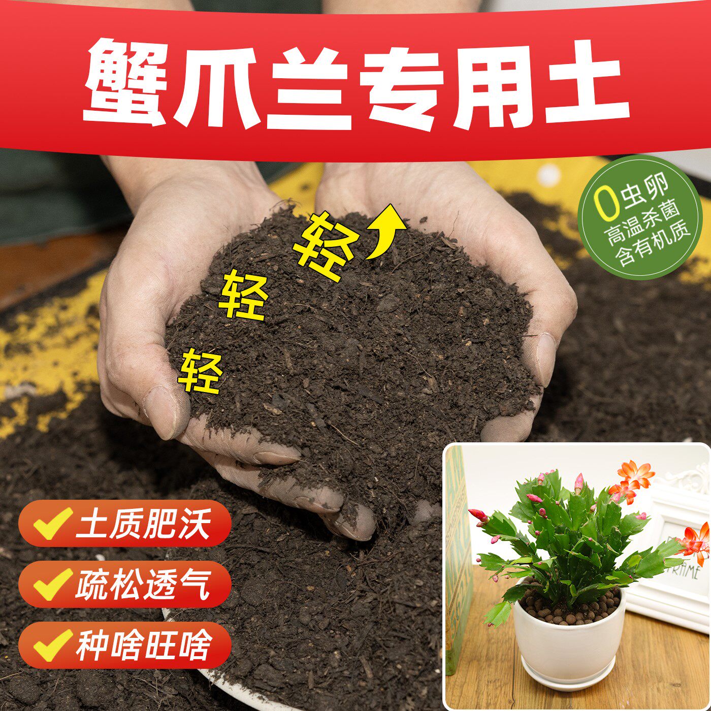 蟹爪兰专用营养土促生根种植土壤抗病防虫无虫卵壮根苗促花卉盆景