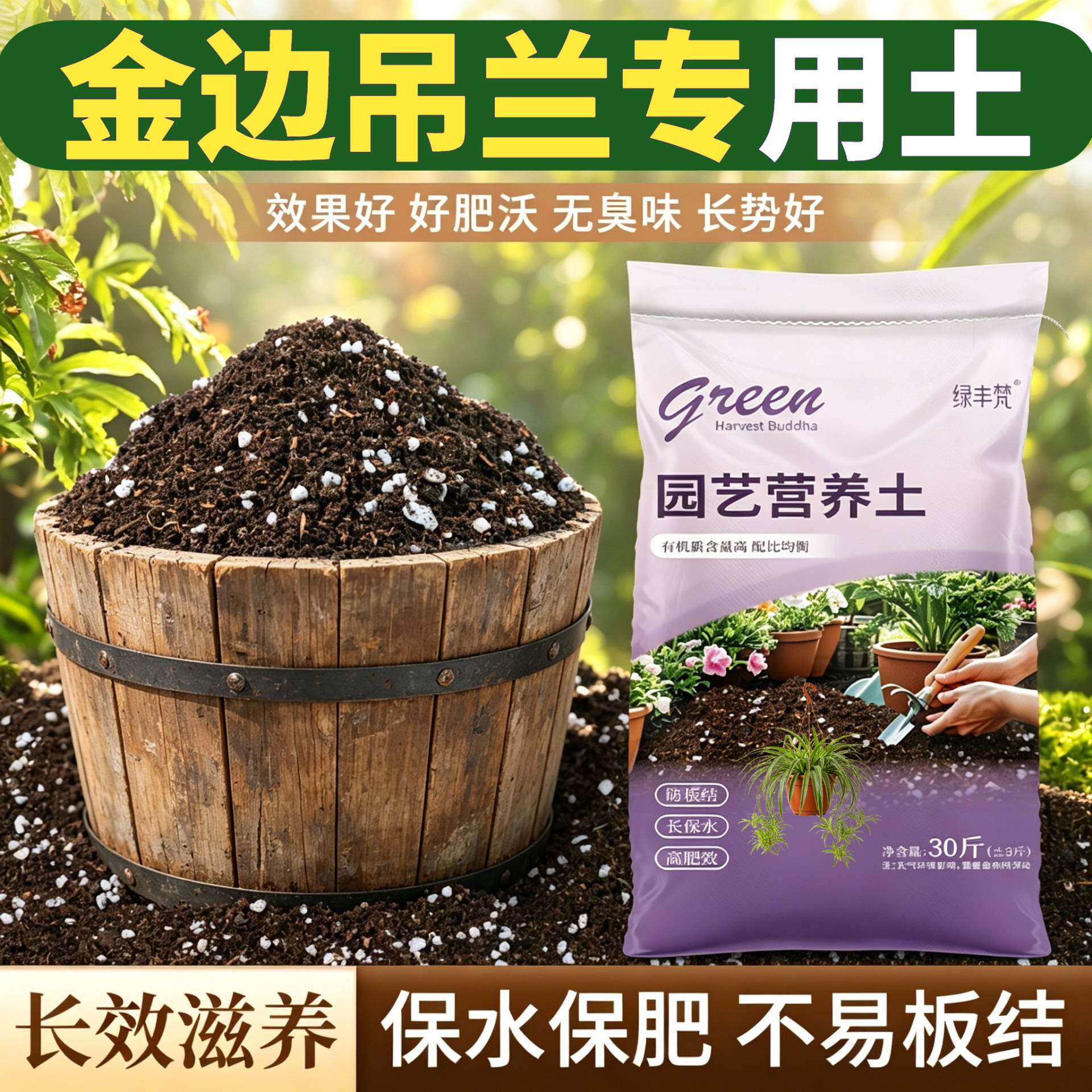金边吊兰适用种菜土不板结加珍珠岩盆景包邮精选防徒长观叶绿叶