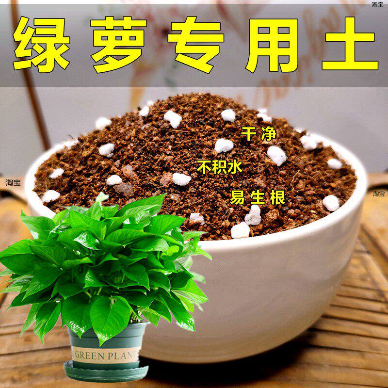 绿萝吊兰专用土酸性家用种植土通用型营养土白掌花泥有机土壤颗粒
