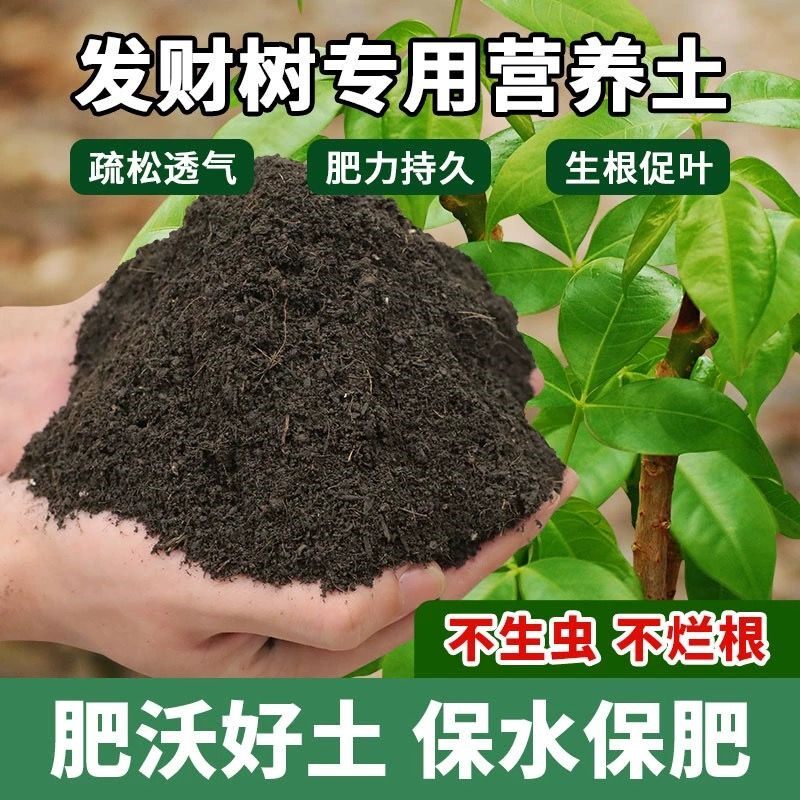 发财树专用土营养土花土盆栽土壤肥料专用肥泥土种植土基质育苗