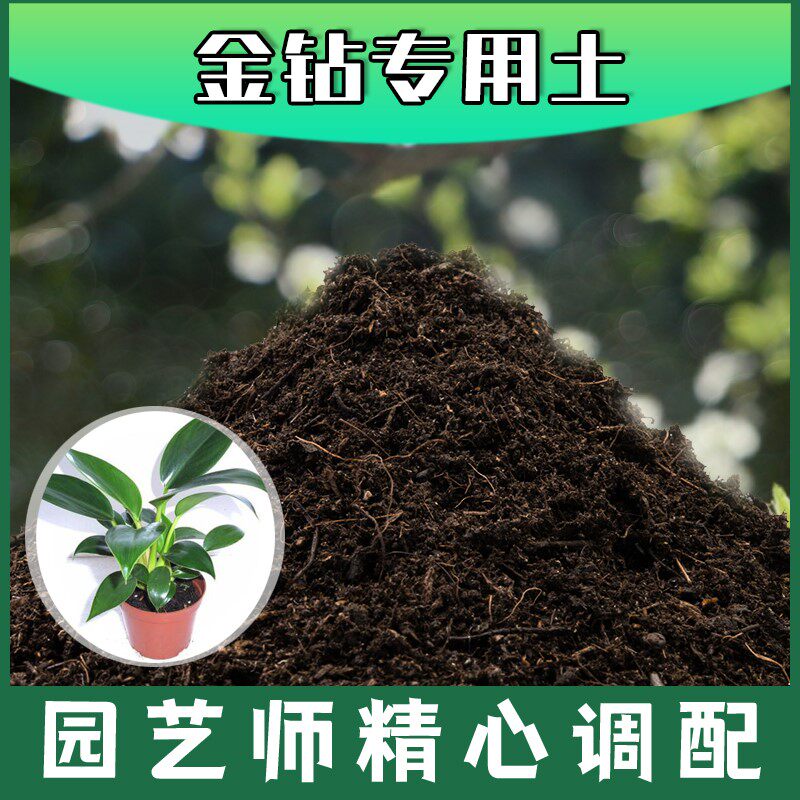 金钻专用土腐殖土种花养花盆栽绿植通用土金钻营养土种植有机土壤