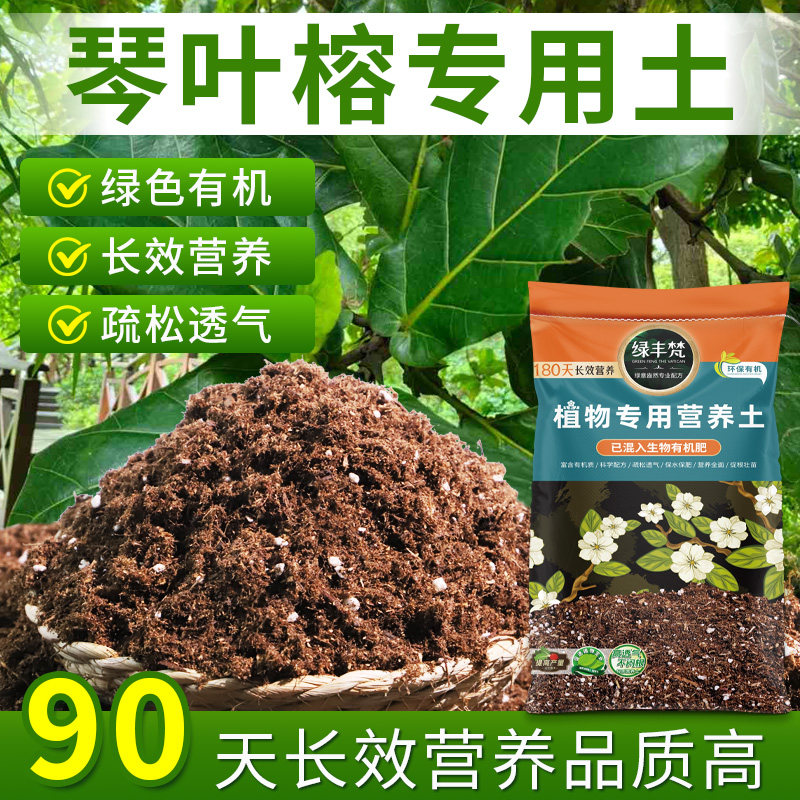 琴叶榕专用园土疏松透气屋顶植料泥炭土防徒长壮根盆栽土防烂根