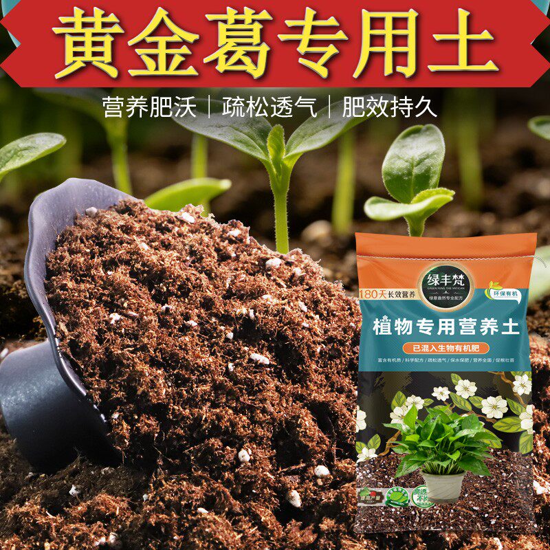 黄金葛适用腐殖土持水性好家用盆栽土精选缓释营养试用装喜酸绿萝