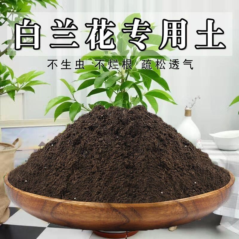 白兰花专用土白兰花土盆栽营养土通用种花养花泥土壤种植土有机肥