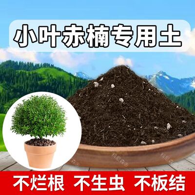 小叶赤楠专用土肥料绿植养花有机土小叶赤楠营养土阳台种花泥土