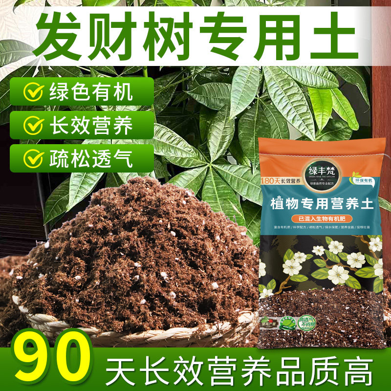 发财树适用园艺土疏松多孔地栽种植土杂质较少舒缓根系无草籽木本