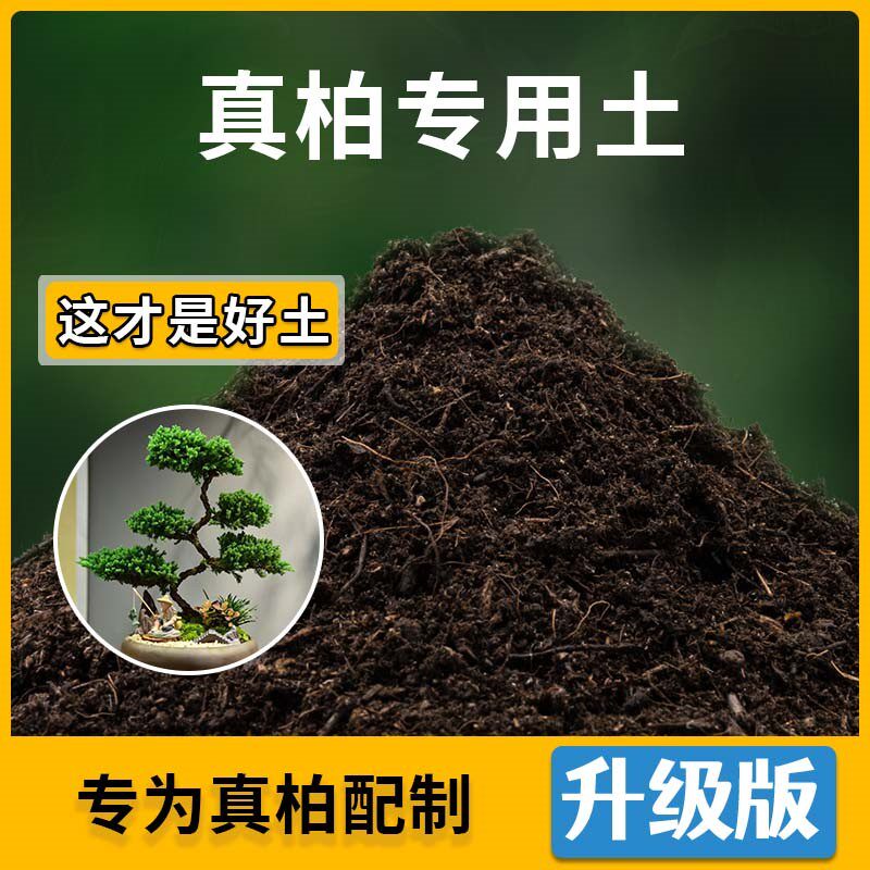 真柏专用土真柏营养土家用种植土壤家庭盆栽种花养花有机土包邮