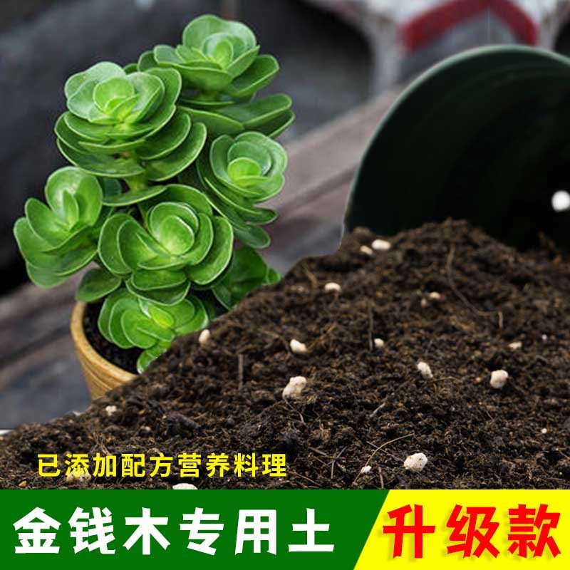 金钱木专用土有机土肥料家用种植土金钱木营养土盆栽养花通用包邮