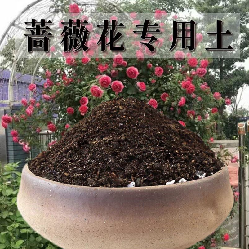 蔷薇花专用土蔷薇花土养花营养土通用种花土壤花卉种植土有机肥料
