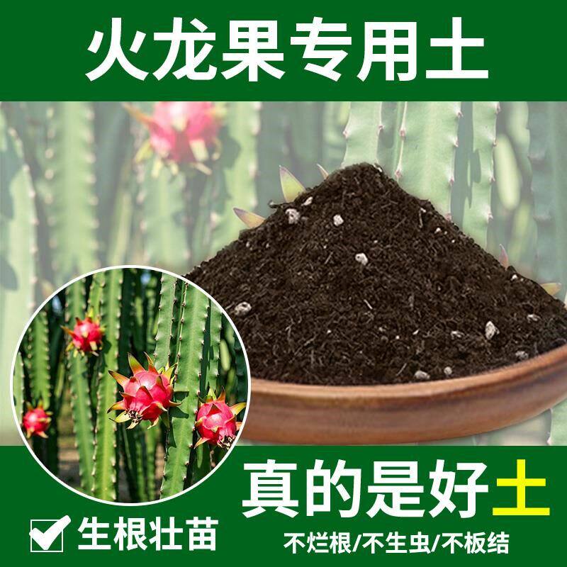 火龙果专用土家庭天然多肉土绿植火龙果专用营养土育苗花土花园