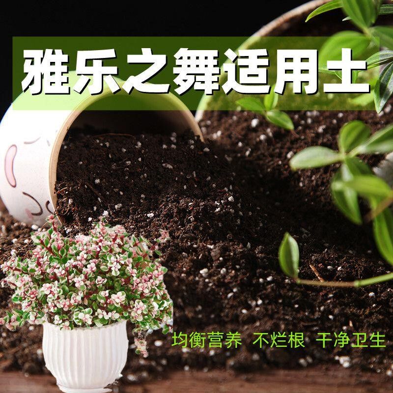 雅乐之舞适用土酸性种花土养花营养土通用有机土种菜土多肉种植土
