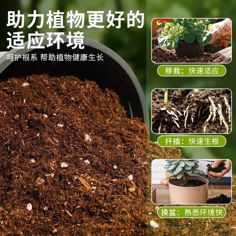 黄皮果适用泥炭土蓬松多孔地栽盆栽土精选减少积水试用装喜酸无菌