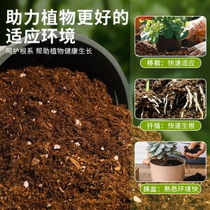 黄皮果适用泥炭土蓬松多孔地栽盆栽土精选减少积水试用装喜酸无菌