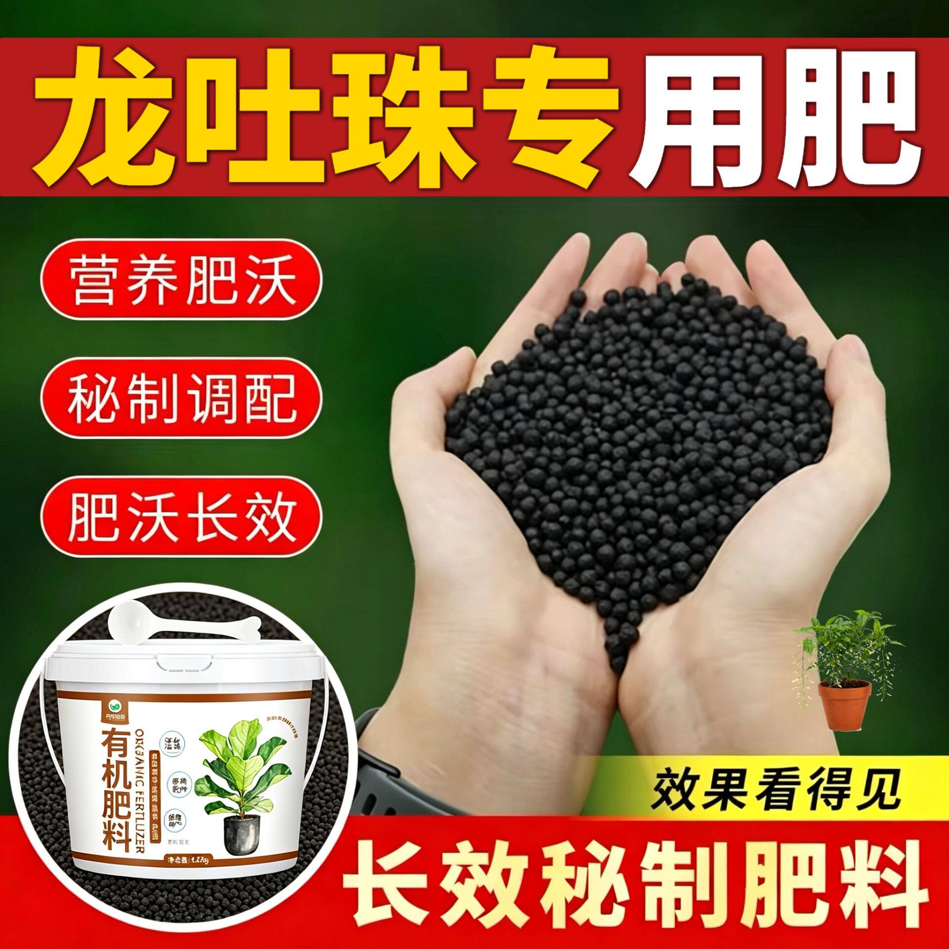 龙吐珠专用肥水溶肥有机肥平衡肥盆栽室内追肥适用肥营养肥促结果