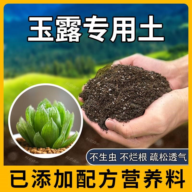 玉露专用土肥料室内椰砖种花园艺家庭花卉阳台玉露营养土养花天然