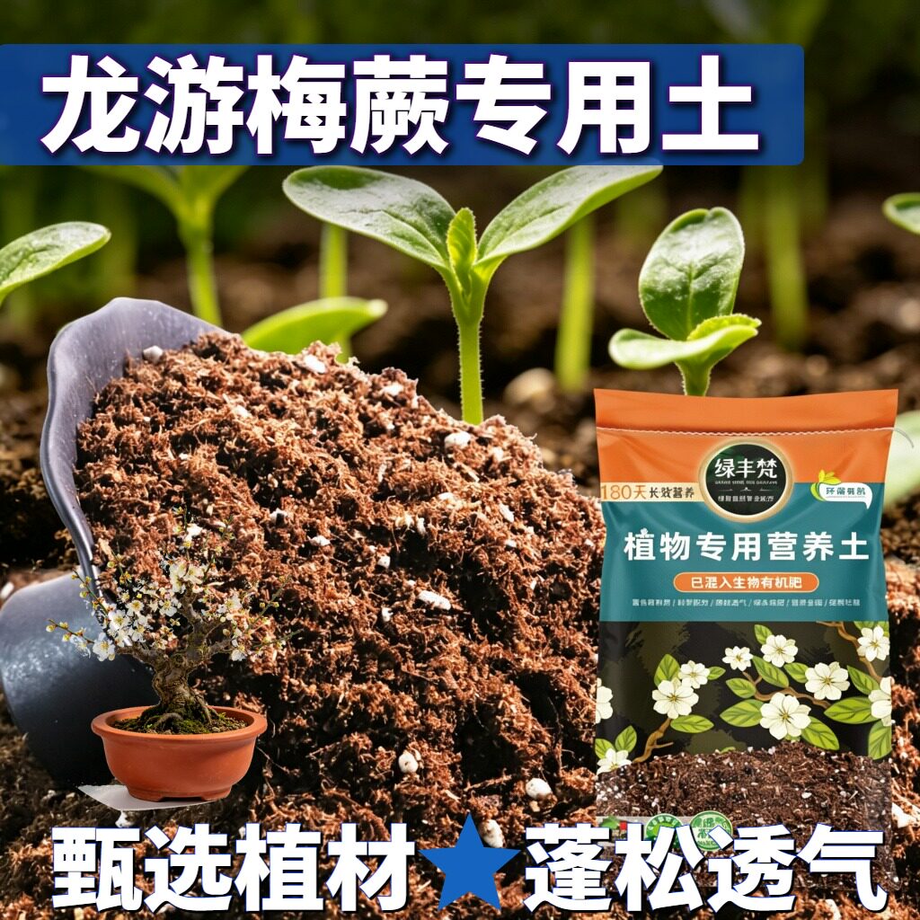龙游梅蕨适用种植土科学配比室内营养土天然原料防徒长无草籽观叶