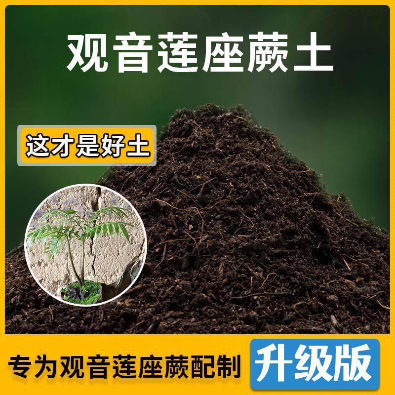 观音莲座蕨专用土观音莲座营养土家用种植土壤家庭盆栽种花有机土