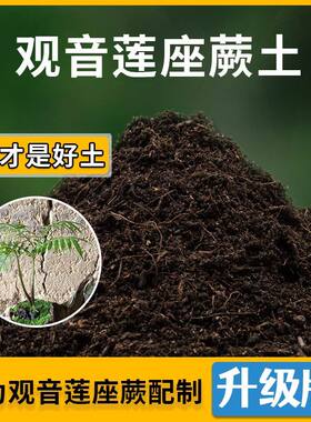 观音莲座蕨专用土观音莲座营养土家用种植土壤家庭盆栽种花有机土