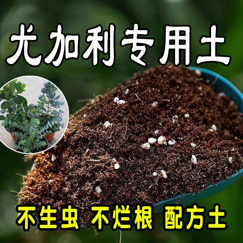 尤加利专用营养土 尤加利专用土 通用种花养花种植土壤有机土盆栽