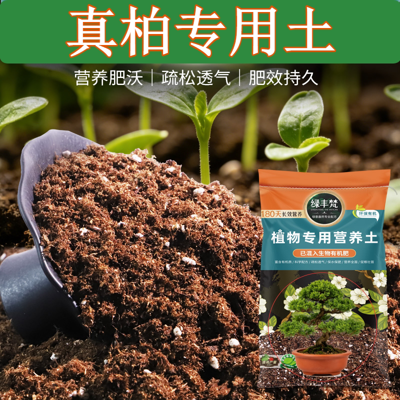 真柏专用果蔬种植土室内植料松散透气园艺基地茉莉量贩款室内栽培