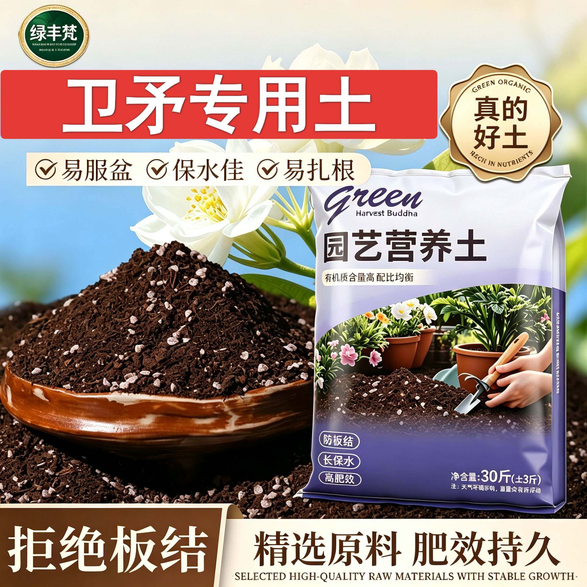 卫矛适用轻质土根壮苗好室内加深生根粉进口防徒长喜酸不闷根观叶