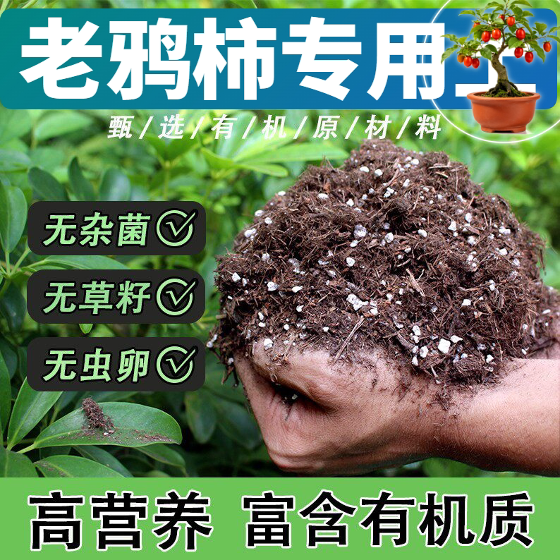 老鸦柿适用营养土根壮苗好盆栽专用土基质土菜园泥炭土蓬松多孔