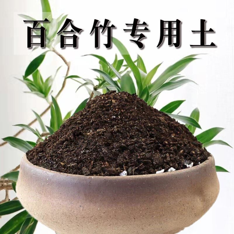 百合竹专用土百合竹土盆栽有机土肥料种花泥土营养土种植土壤养花图片