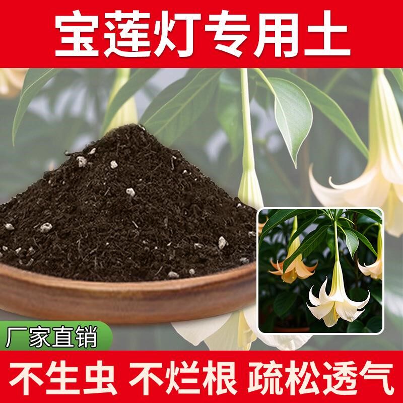 宝莲灯专用土花园种植土多肉土绿植室内透气宝莲灯专用营养土蓬松