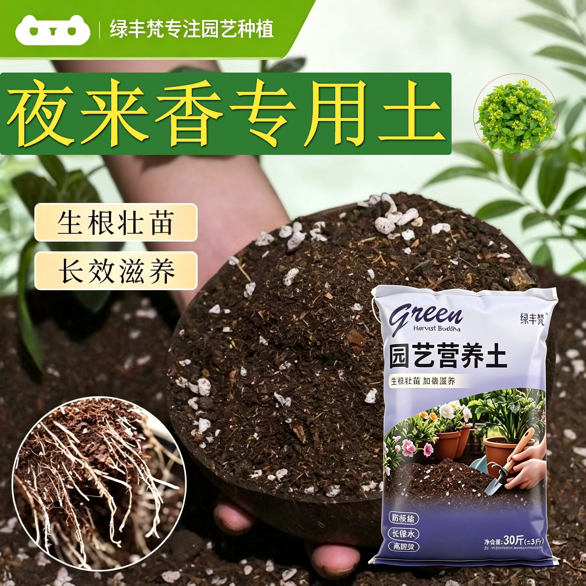 夜来香专用含泥炭不闷根扦插泥炭基质无菌促生长球根室内观叶进口