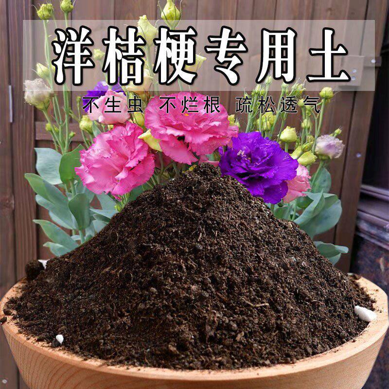 洋桔梗专用土洋桔梗专用营养土盆栽土养花种花土通用种植土壤肥料