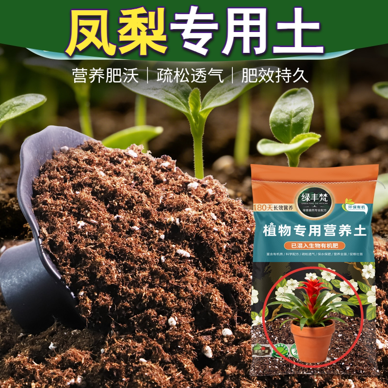 凤梨适用植料不烧根不烧苗园艺高压嫁接配方土育苗促发芽嫁接壮根