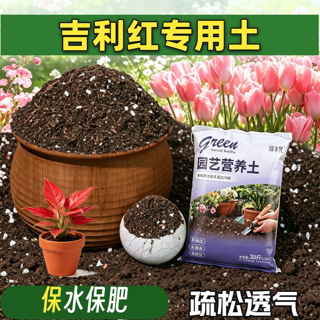 吉利红专用栽培土保水保肥盆景包邮无菌促生长观叶不闷根基质育苗