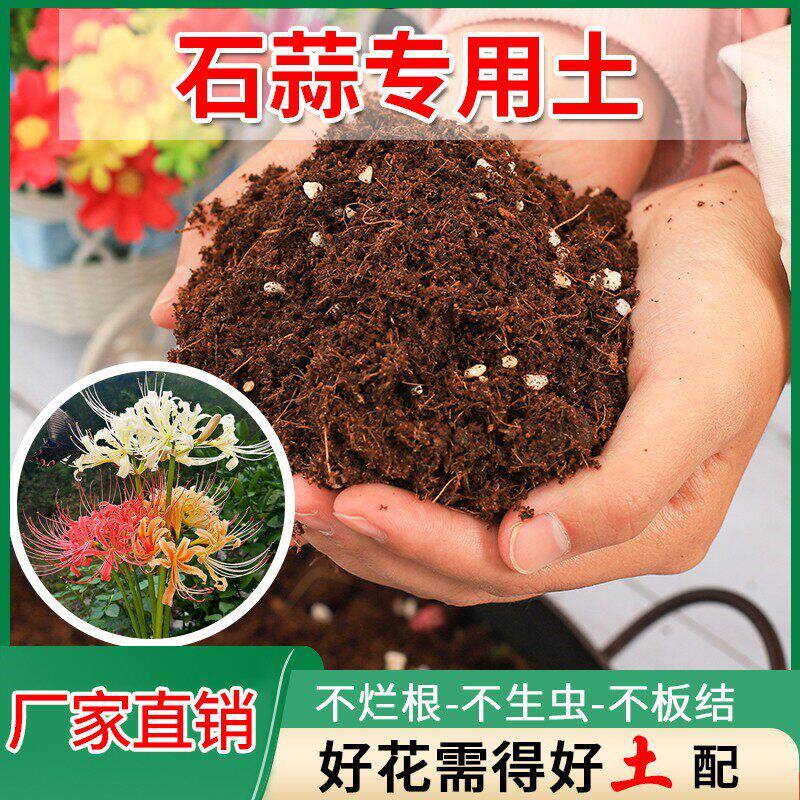 石蒜种球专用土彼岸花阳台盆栽花卉营养土养花土壤通用型种花花泥