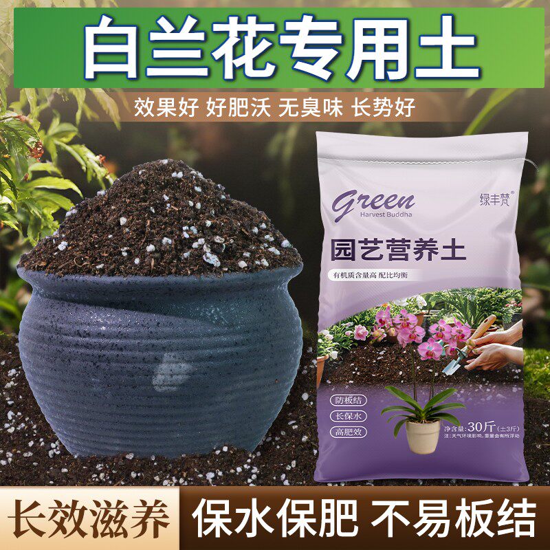 白兰花专用盆景土不闷根扦插加牛粪精选壮根观花保水锁肥进口适用