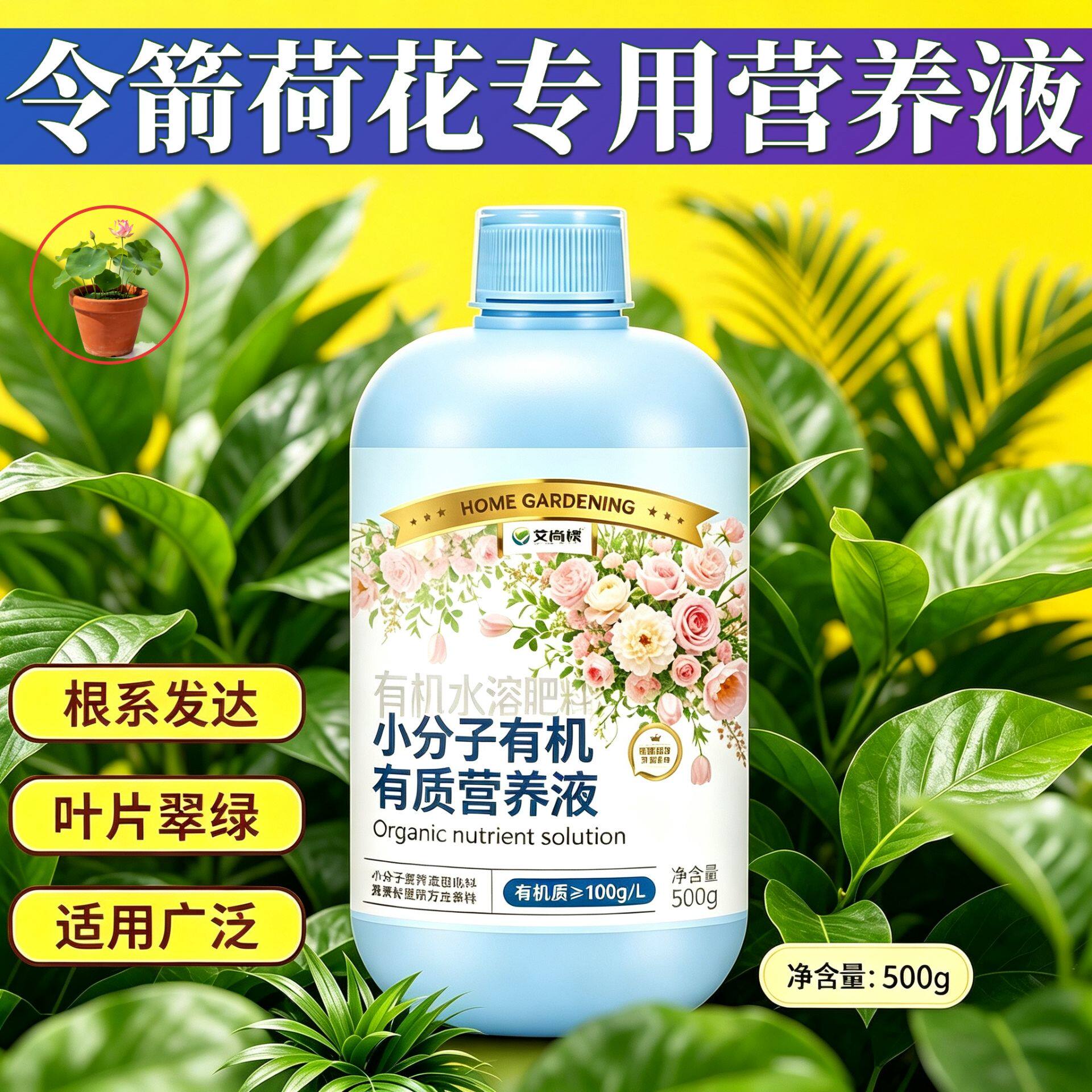 令箭荷花专用浓缩型营养液浓缩高效壮根促长家用园艺适用叶绿花艳