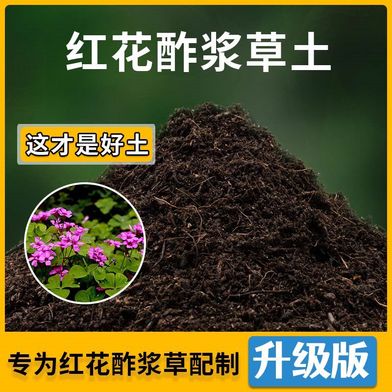 红花酢浆草专用土红花酢浆营养土家用种植通用土壤盆栽种花有机土