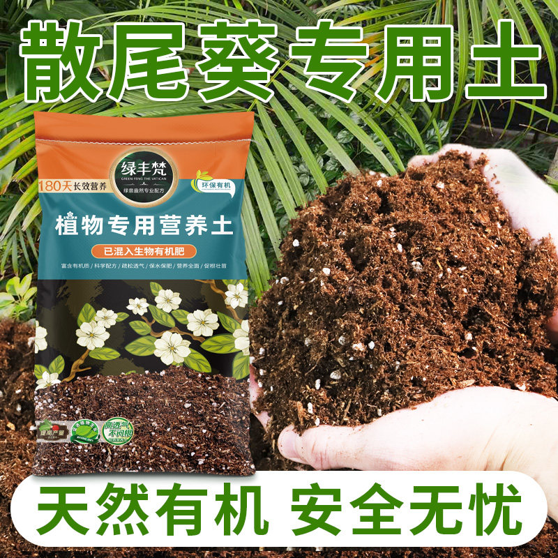 散尾葵适用播种土持水适度盆栽土进口缓冲盆土酸碱家用装根系发达