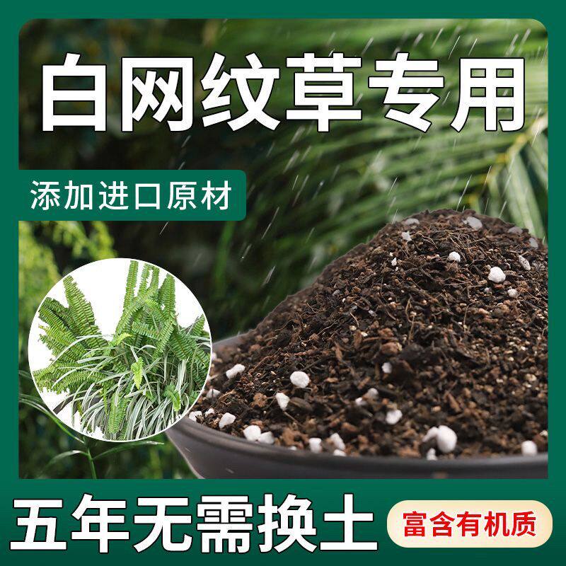 【不生虫】白网纹草适用土疏松透气盆栽绿植专用土室内植物营养土