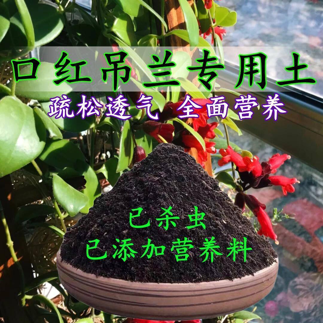 口红吊兰专用土口红吊兰专用营养土盆栽土养花种花土通用种植土壤