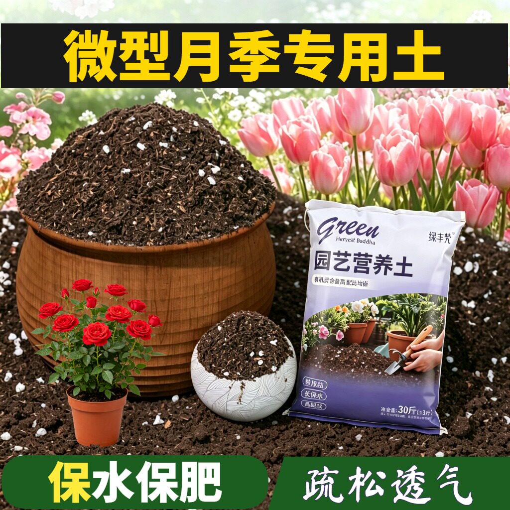 微型月季适用种菜土根壮苗好不烂根花园加深生根粉天然防黄叶球根
