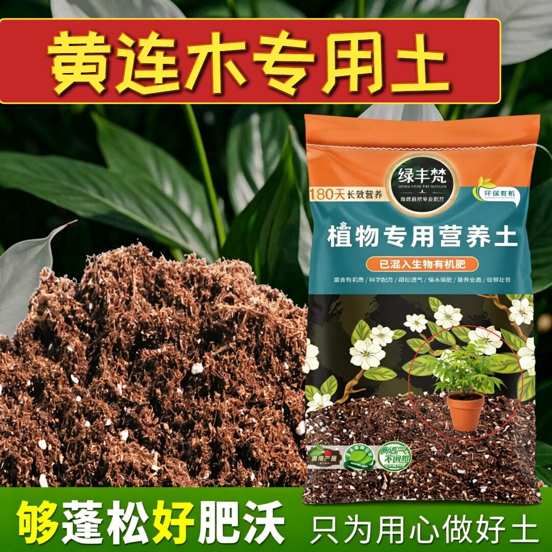 黄连木适用花泥利于发根嫁接种植土洁净基质优化根际实惠装多肉
